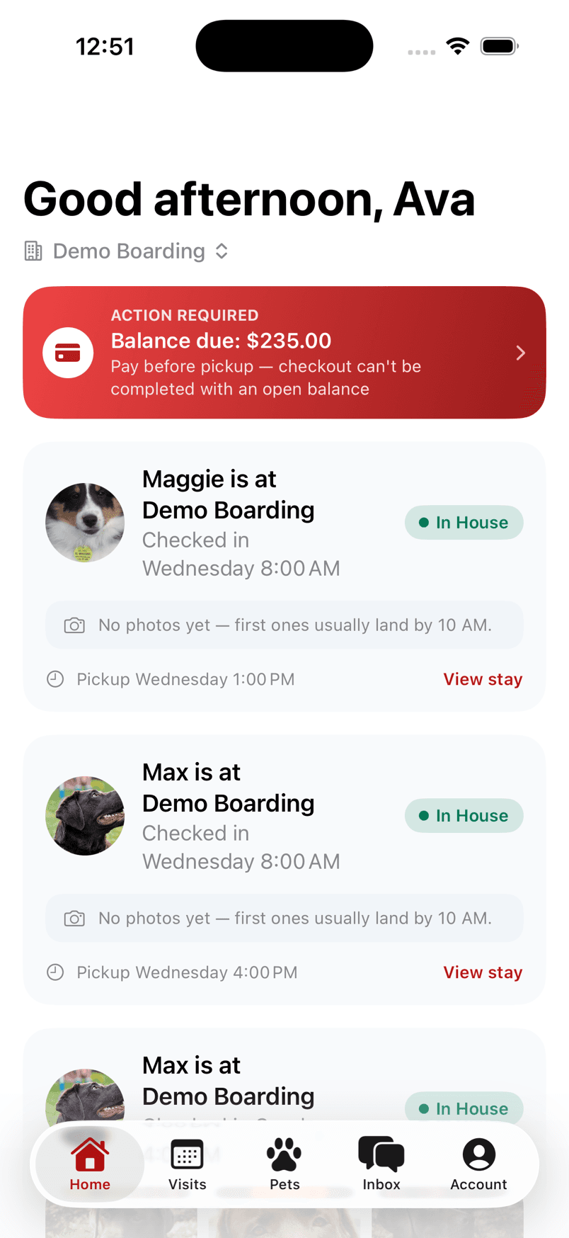 The native Pawdentity app: today's stays with live photo updates, care status, and pickup times